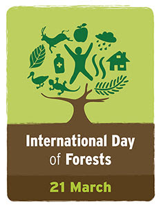 Spiritual Inspirations from Trees | Happy International Day of Forests | Speech on World Forest Day | World Forest Day Quotes image 