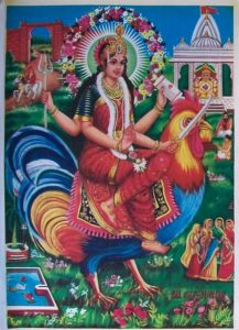 Spiritual Significance of Bahuchar Maa photo