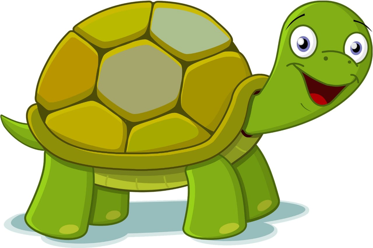 Wish you a protected World Turtle Day | Spiritual Inspirations from Turtles & Tortoises | Tortoise image hd cartoon