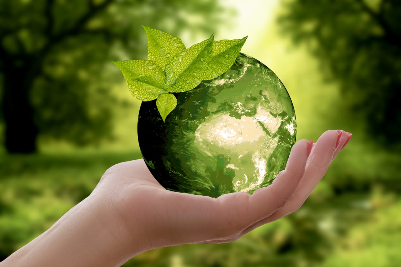 World Environment Day HD image | Short Speech on World Environment Day in English
